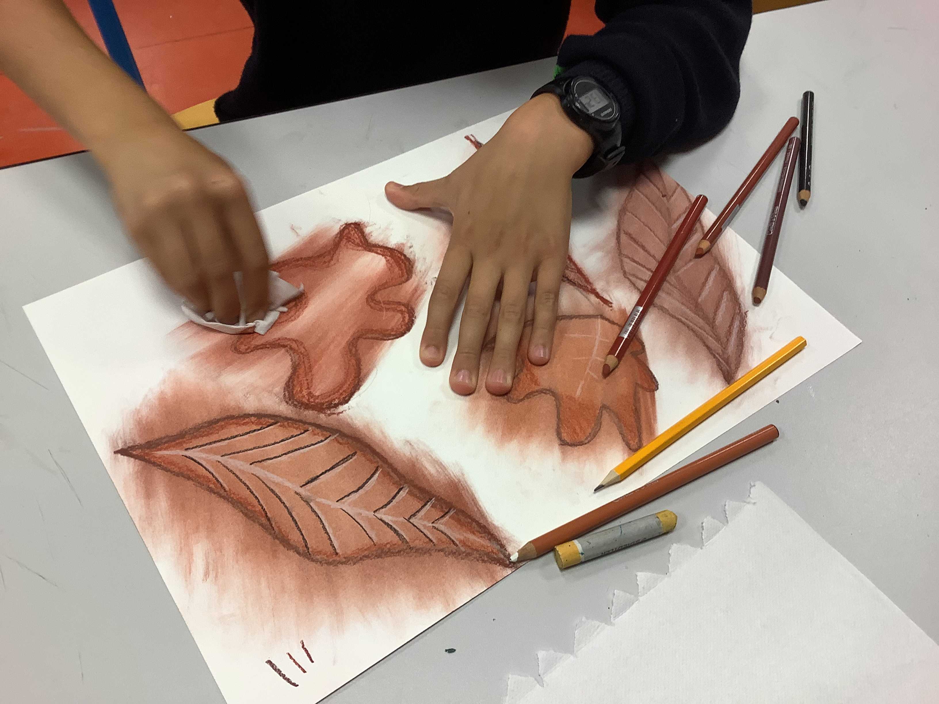 L'atelier nature du collège Jeanne d'Arc